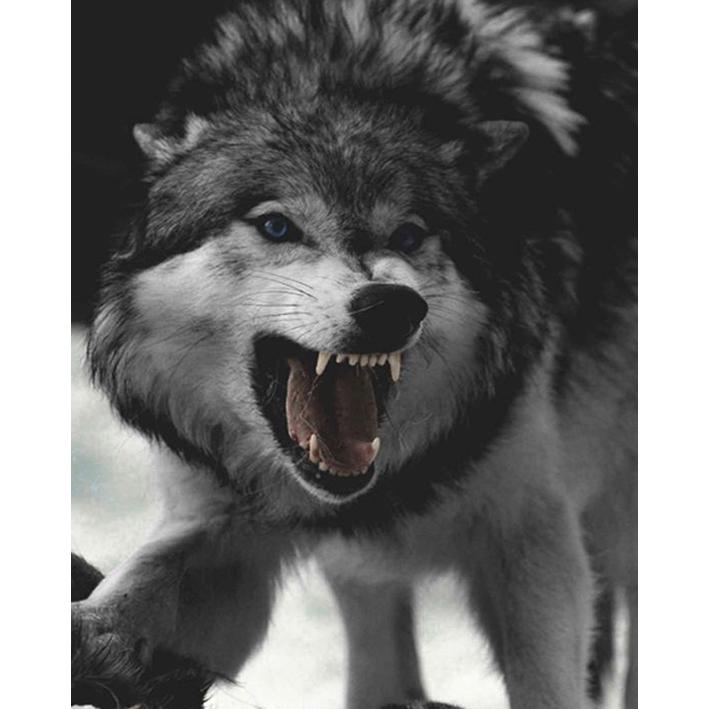 5D DIY Алмазная картина Полный круглый дрель Вышивка крестом Мозаика Алмазная вышивка Горный хрусталь Мозаика Подарок Домашний декор 15x20CM
5D DIY Алмазная картина Полный круглый дрель Вышивка крестом Мозаика Алмазная вышивка Горный хрусталь Мозаика Подарок Домашний декор 15x20CM