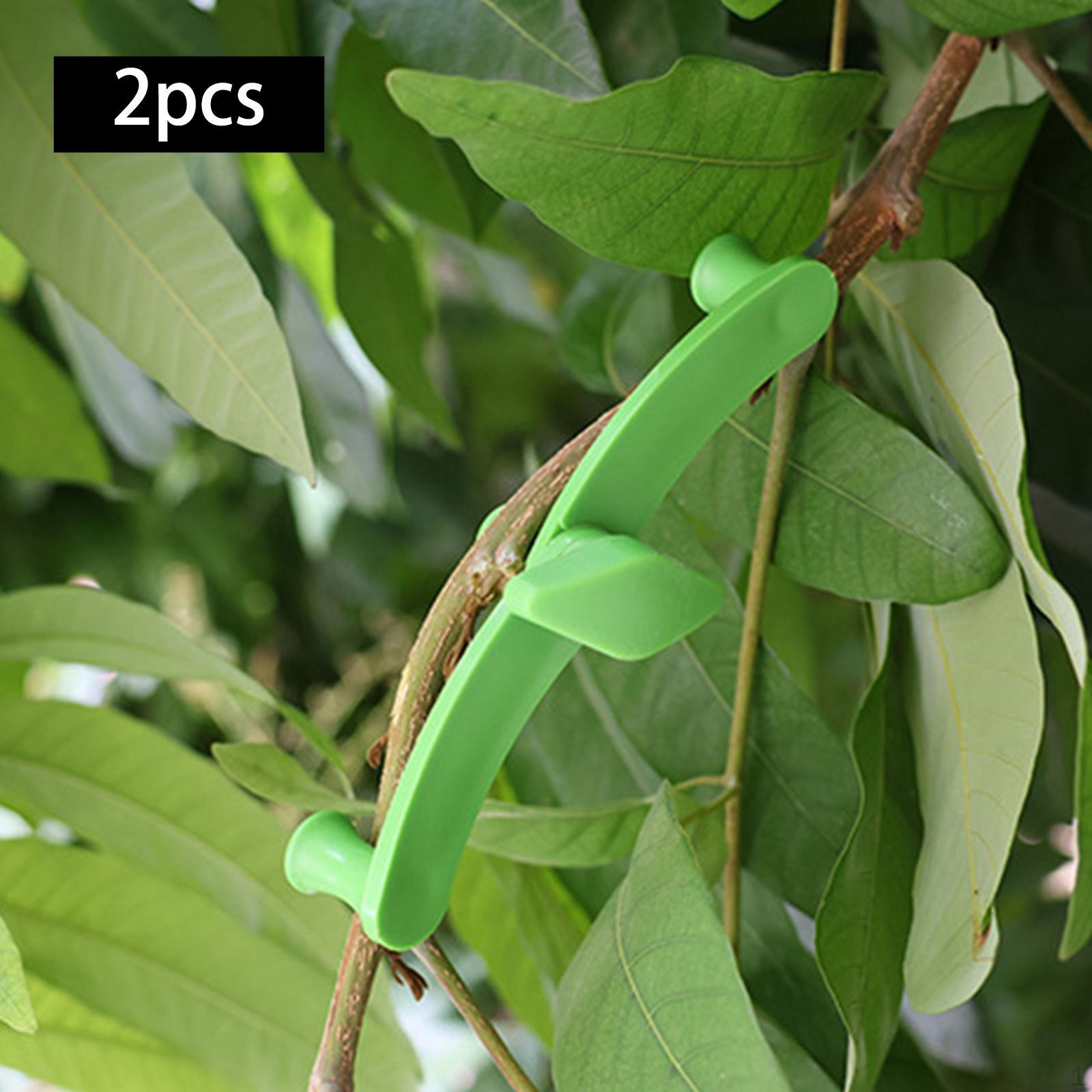 Регулируемый разбрасыватель ветвей фруктовых деревьев для удобного моделирования бонсай
Регулируемый разбрасыватель ветвей фруктовых деревьев для удобного моделирования бонсай