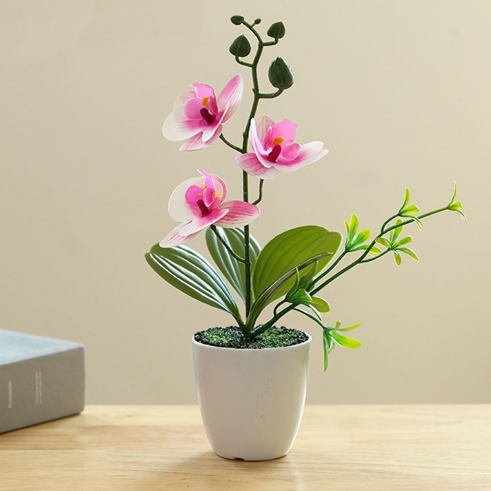 Искусственное украшение из цветов Свадьбы Освещение Фактический фиолетовый
Искусственное украшение из цветов Свадьбы Освещение Фактический фиолетовый