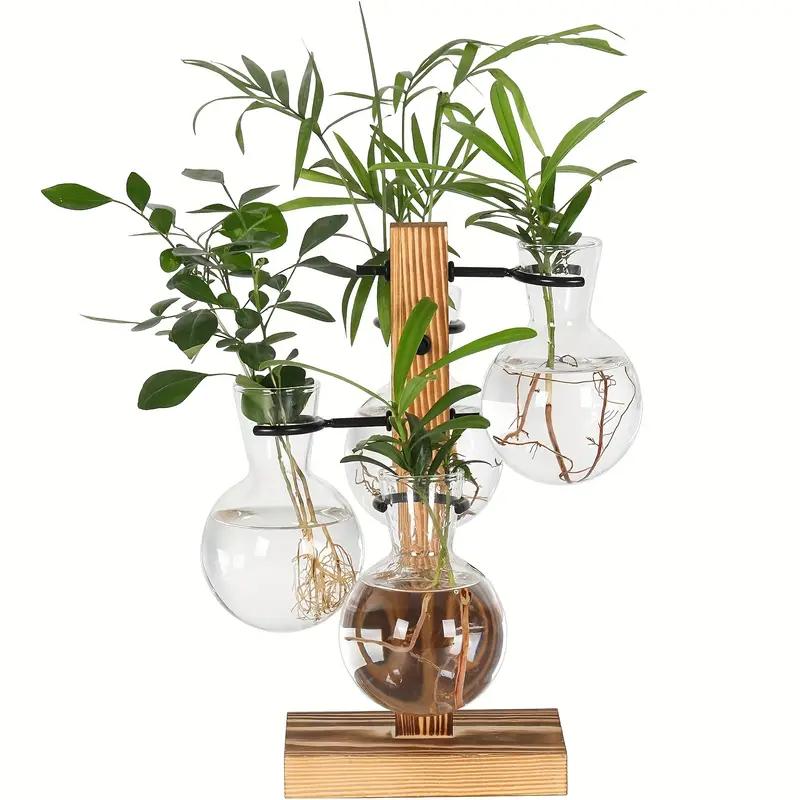 Hydroponic Plant Glass Vase, Modern Desktop Plant Terrarium Planter Bulb Water Planting Propagation Planters Hydroponics Plants China Mainland
Hydroponic Plant Glass Vase, Modern Desktop Plant Terrarium Planter Bulb Water Planting Propagation Planters Hydroponics Plants China Mainland