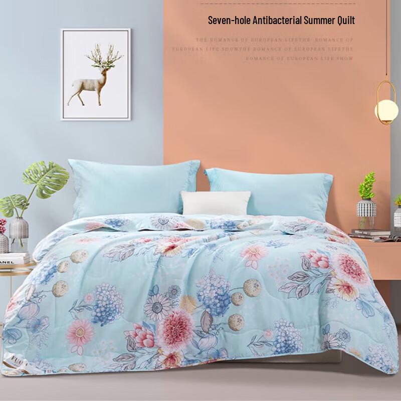 FUANNA Seven-Hole Antibacterial Summer Quilt
FUANNA Seven-Hole Antibacterial Summer Quilt