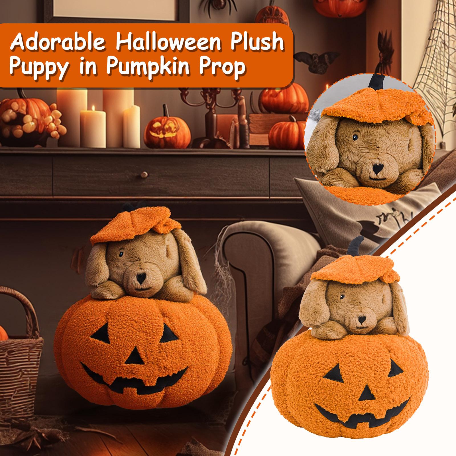 Pumpkin Puppy Plush Toy, Home Decoration, A Small Toy That Children Like One Size
Pumpkin Puppy Plush Toy, Home Decoration, A Small Toy That Children Like One Size