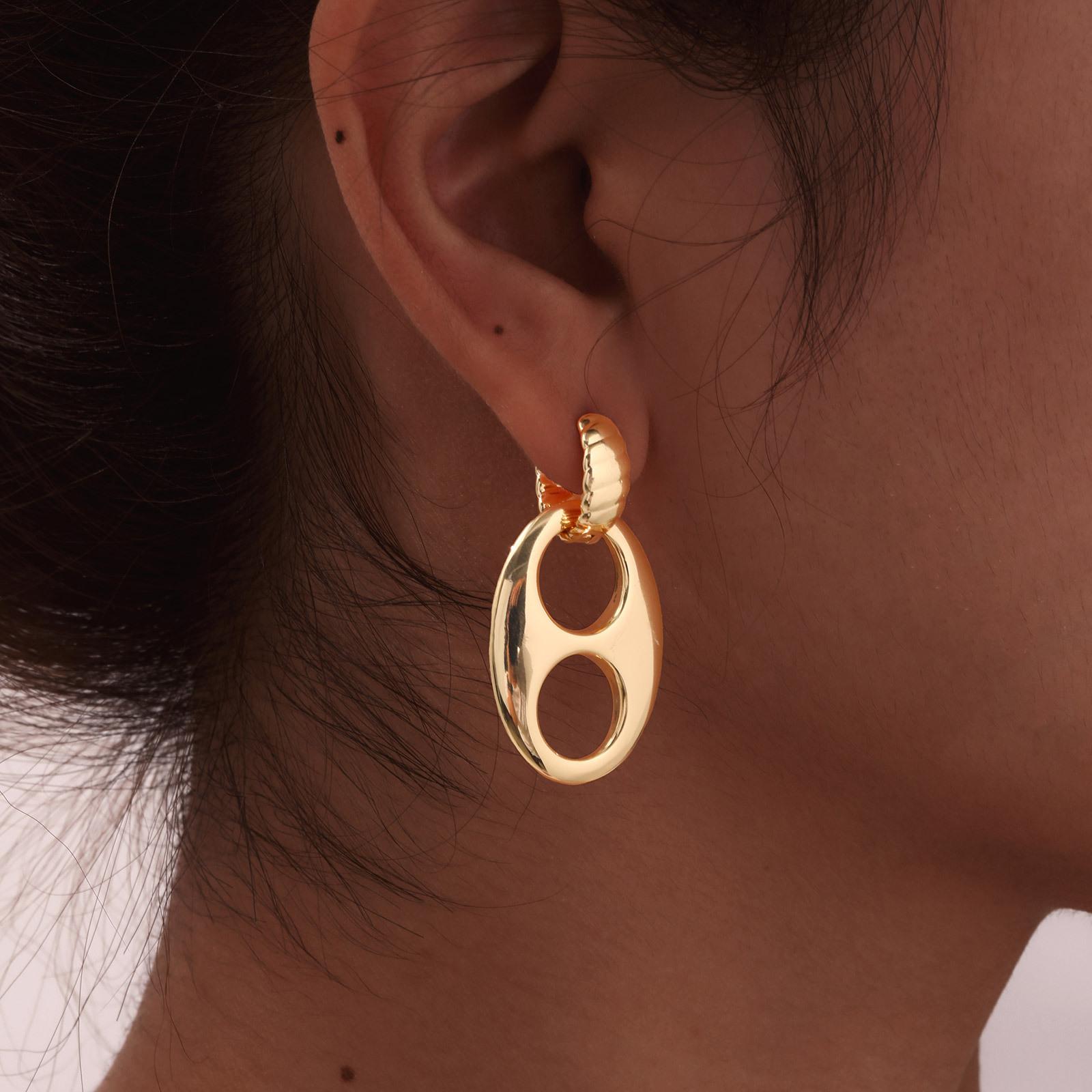 Double Circles Hoop Earrings for Women, Stainless Steel 14K Plated Chunky Oval Earrring, Fashion Geometric Party Jewelry Gift
Double Circles Hoop Earrings for Women, Stainless Steel 14K Plated Chunky Oval Earrring, Fashion Geometric Party Jewelry Gift