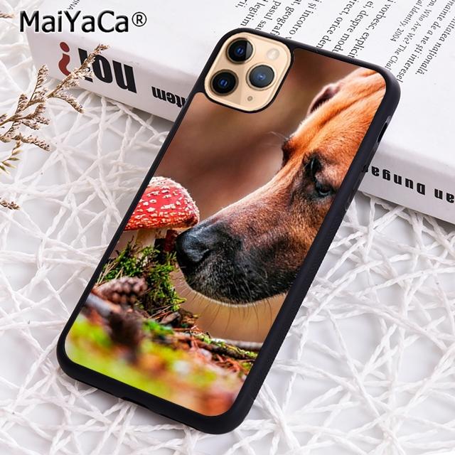 MaiYaCa Rhodesian Ridgeback Dog Phone Case Cover For iPhone 17 Air 16 15 plus 11 12 13 14 pro max coque iPhone 11pro max
MaiYaCa Rhodesian Ridgeback Dog Phone Case Cover For iPhone 17 Air 16 15 plus 11 12 13 14 pro max coque iPhone 11pro max