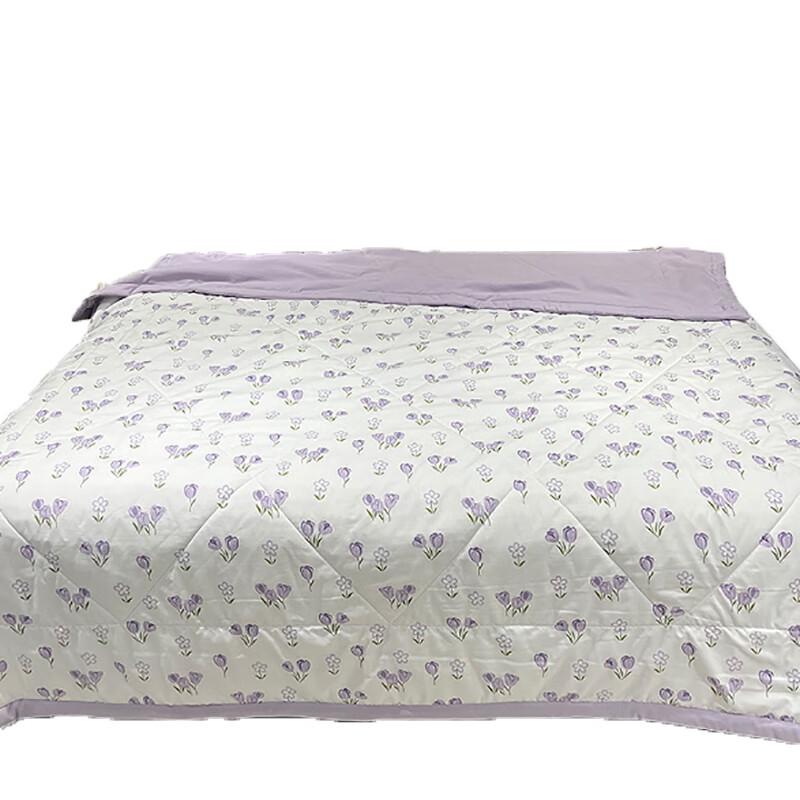 Kasper Ice Silk Cotton Summer Quilt 150cm*200cm
Kasper Ice Silk Cotton Summer Quilt 150cm*200cm