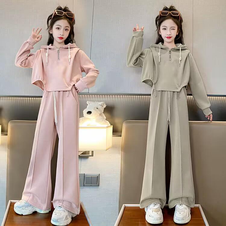 Girls Autumn Hooded Sweater and Wide-Leg Pants Set - Korean Style Two-Piece Outfit 130 cm розовый
Girls Autumn Hooded Sweater and Wide-Leg Pants Set - Korean Style Two-Piece Outfit 130 cm розовый