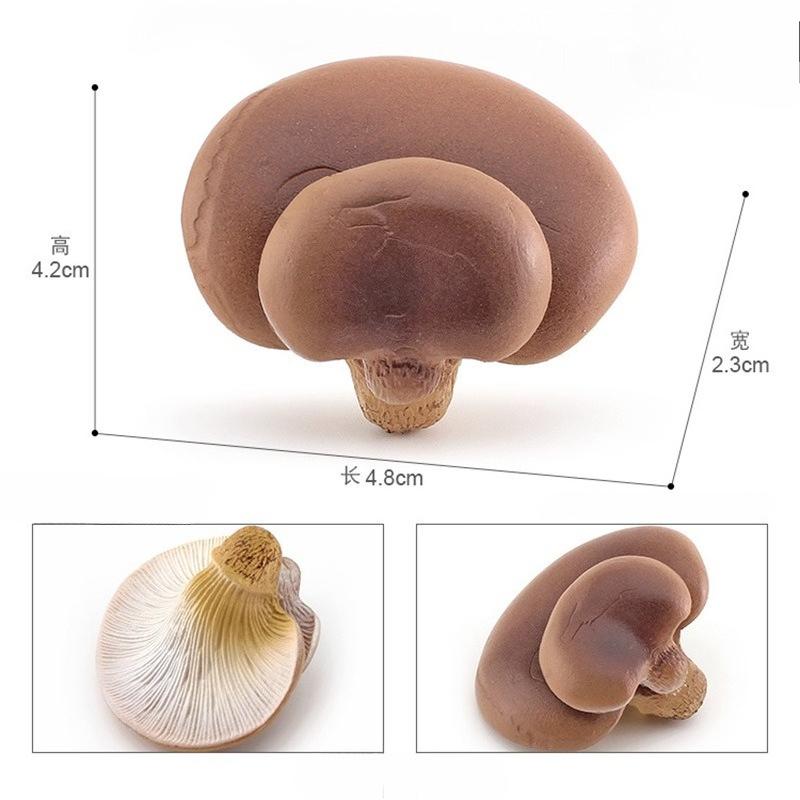 1Pcs Artificial Mushroom Model Toy Figures Creative Home Display Prop Realistic Fungi Decoration Lifelike Faux Mushroom Ornament
1Pcs Artificial Mushroom Model Toy Figures Creative Home Display Prop Realistic Fungi Decoration Lifelike Faux Mushroom Ornament