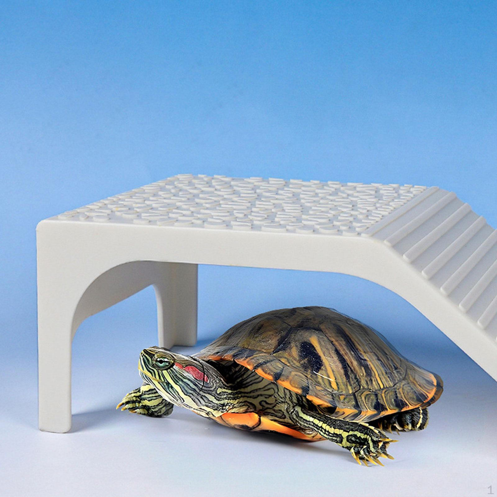 Аквариумный пандус для черепах и рептилий L
Аквариумный пандус для черепах и рептилий L