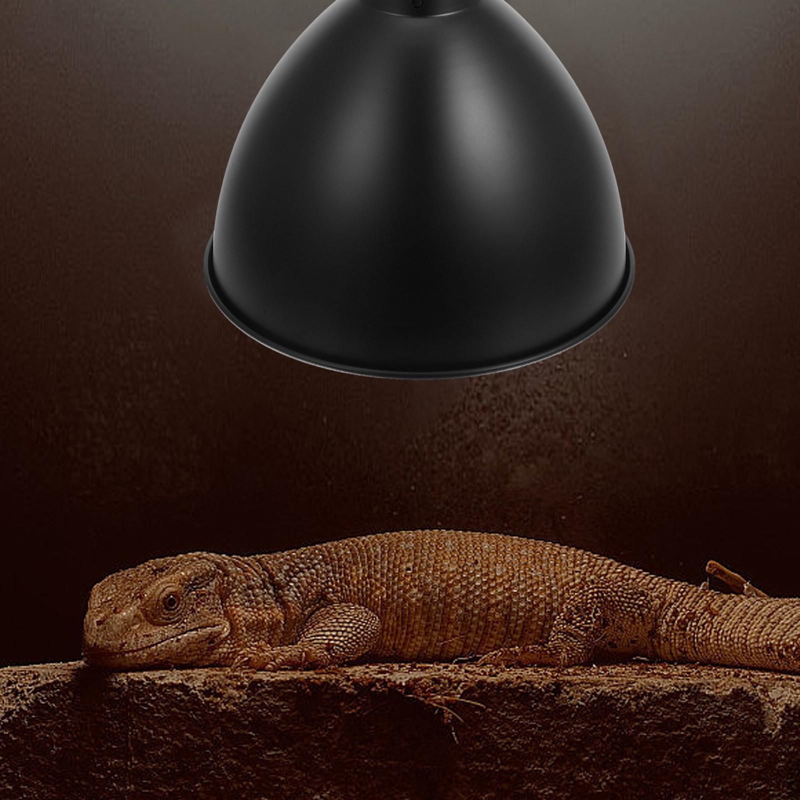 Reptile Heat Lamp Shade Iron Reflector Dome Insulation Protector Reptile Box Lamp Cover Heating Fixture Lampshade Accessory 14.3X14.3X10.8CM
Reptile Heat Lamp Shade Iron Reflector Dome Insulation Protector Reptile Box Lamp Cover Heating Fixture Lampshade Accessory 14.3X14.3X10.8CM