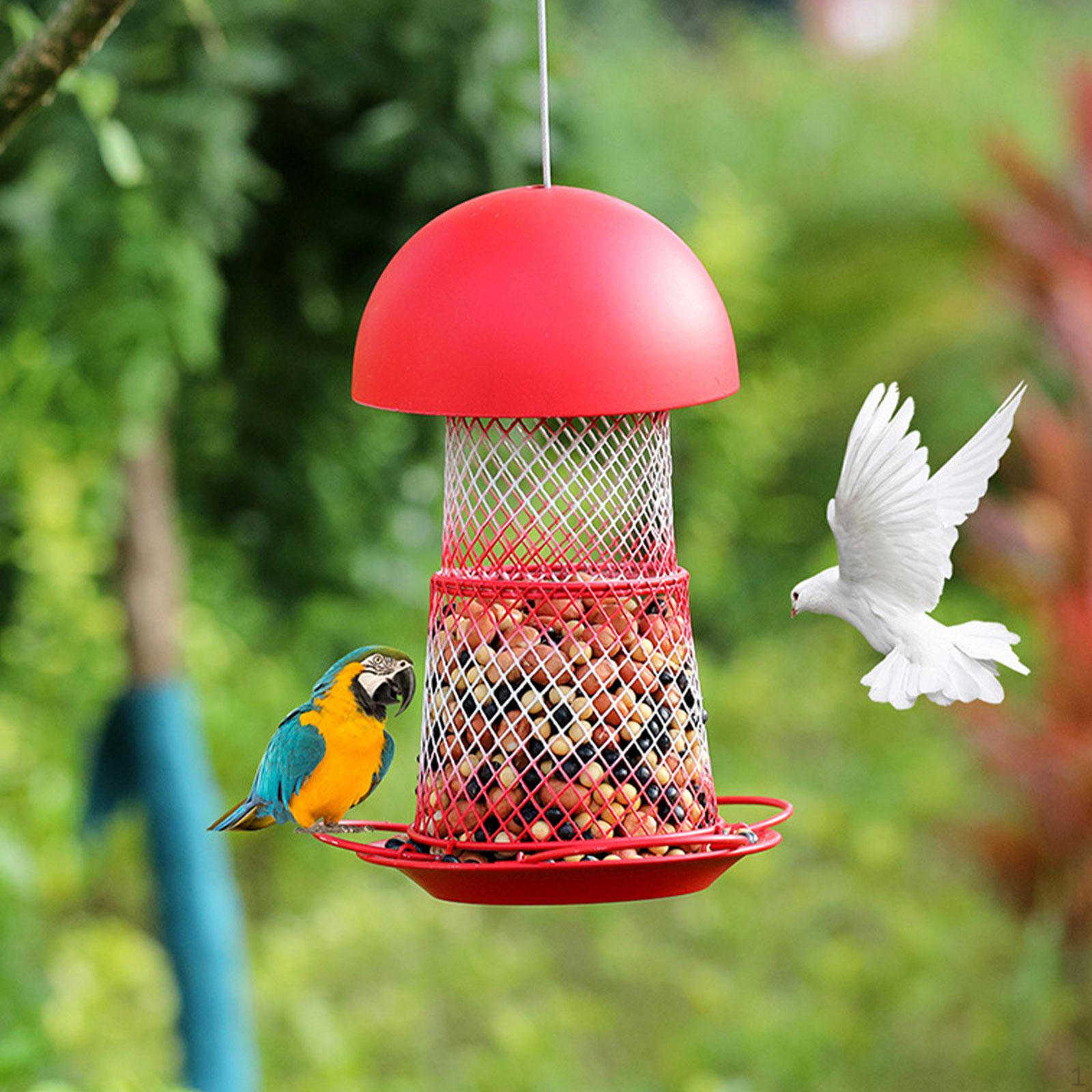 Bird Feeder Squirrel Iron Weather Birdfeeder for Garden Yard Decoration Finch Bluebird
Bird Feeder Squirrel Iron Weather Birdfeeder for Garden Yard Decoration Finch Bluebird
