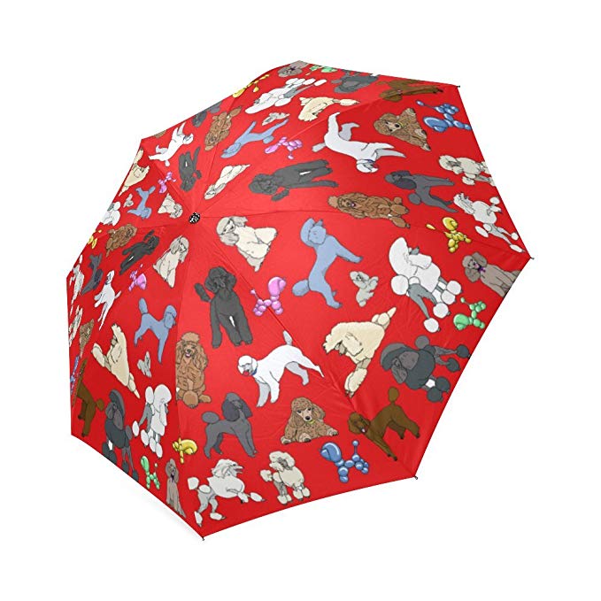 Poodle Umbrella Red Custom Printing Foldable Sun Rain Folding Umbrella 100% Fabric Aluminium Foldable Umbrella
Poodle Umbrella Red Custom Printing Foldable Sun Rain Folding Umbrella 100% Fabric Aluminium Foldable Umbrella