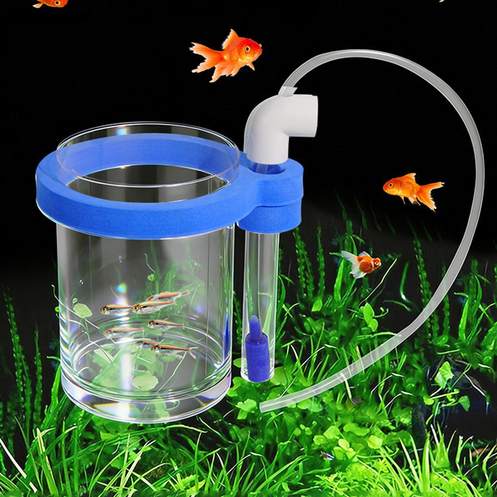 Aquarium Fish Breeding Box Hatchery Incubator Tank Accessories Hanging Decor Replace Versatile Easy
Aquarium Fish Breeding Box Hatchery Incubator Tank Accessories Hanging Decor Replace Versatile Easy
