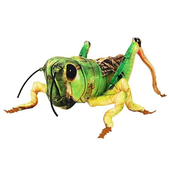 Taiyo Sangyo Boeki SA051 Wild Graphy Plush Grasshopper Realistic Gift
Taiyo Sangyo Boeki SA051 Wild Graphy Plush Grasshopper Realistic Gift