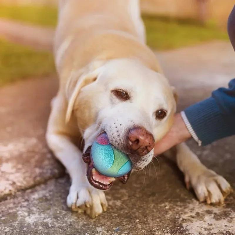 Dog toys with gritted teeth, durable and elastic balls, biting and self relieving training, color blocking rubber balls,pet toys XS
Dog toys with gritted teeth, durable and elastic balls, biting and self relieving training, color blocking rubber balls,pet toys XS