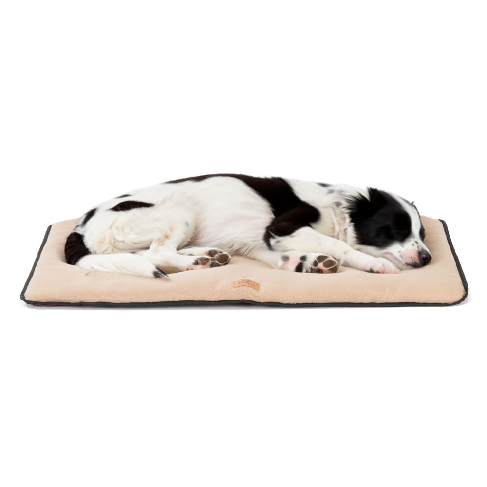 Jolly Micro Fleece 85 Beige Dog Bed House Water Repellent Car Seat Made by Italian Ferplast бежевый
Jolly Micro Fleece 85 Beige Dog Bed House Water Repellent Car Seat Made by Italian Ferplast бежевый