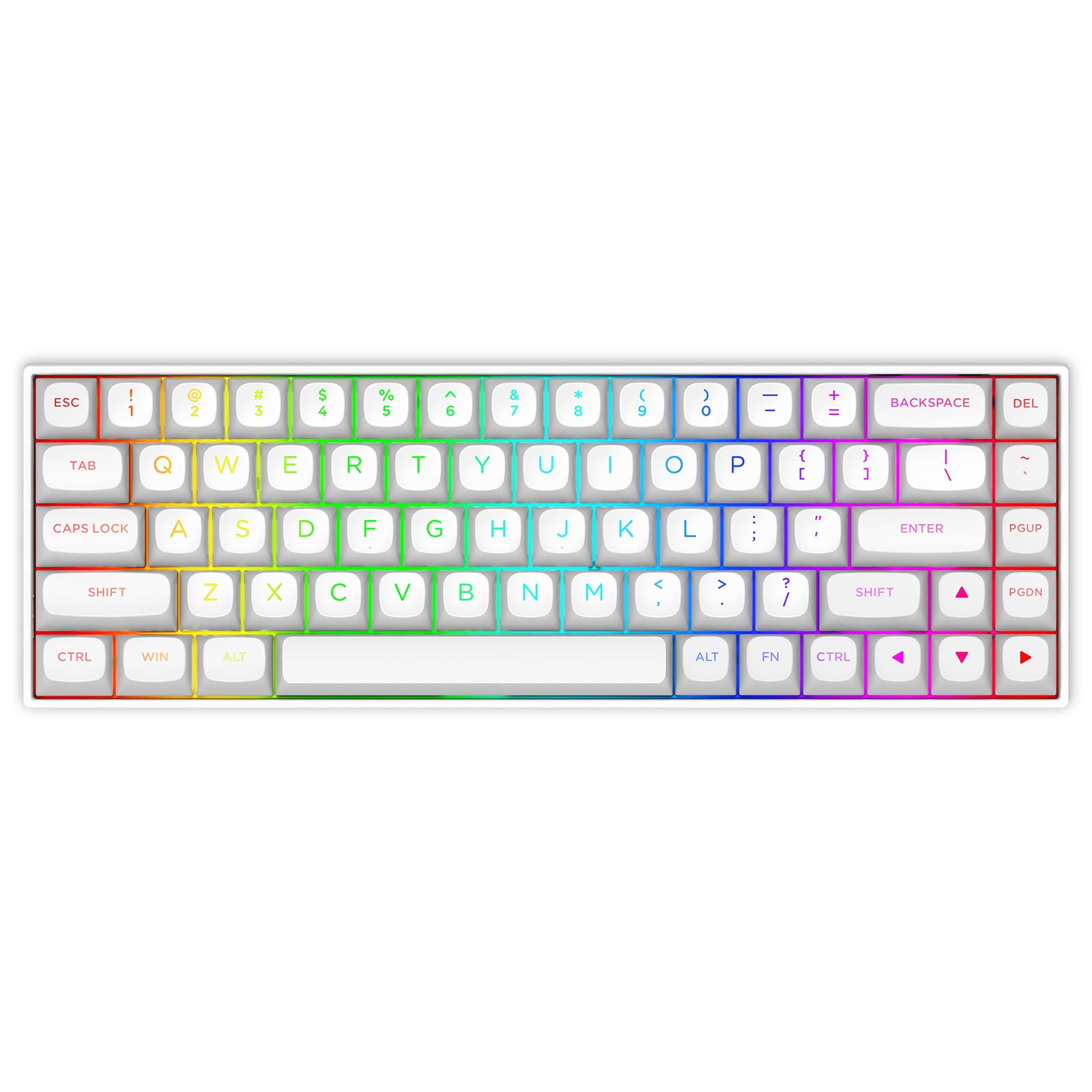 Rapid Trigger Mechanical Gaming Keyboard Wired Keyboard Adjustable Actuation Magnetic Switch Polling Rate 8000Hz RGB Backlight Mini 68 Key Computer
Rapid Trigger Mechanical Gaming Keyboard Wired Keyboard Adjustable Actuation Magnetic Switch Polling Rate 8000Hz RGB Backlight Mini 68 Key Computer