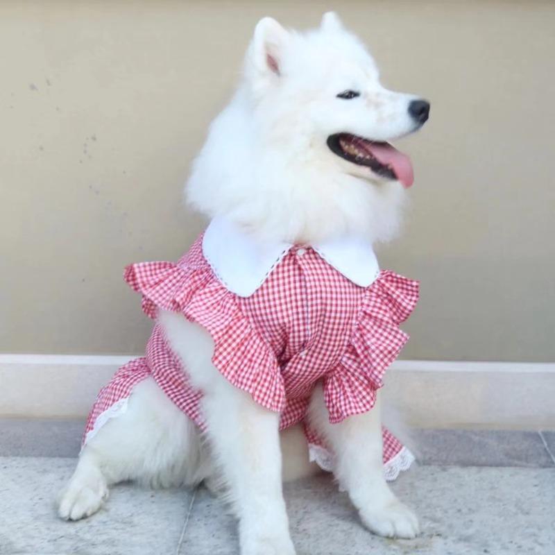 Pet cute big dog clothes princess lace skirt teddy cat dog princess skirt spring summer shirt 2XL recommends about 14-8.5kg.
Pet cute big dog clothes princess lace skirt teddy cat dog princess skirt spring summer shirt 2XL recommends about 14-8.5kg.