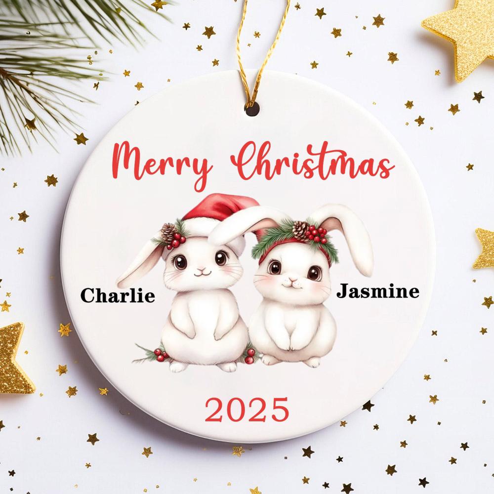 Персонализированное украшение «Первое Рождество 2025» - Семья кроликов Розово-голубое керамическое подвесное украшение на елку Leave Name in Chat
Персонализированное украшение «Первое Рождество 2025» - Семья кроликов Розово-голубое керамическое подвесное украшение на елку Leave Name in Chat