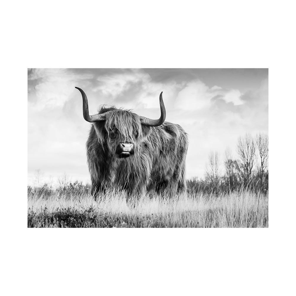 Scottish Highland Brown Cow Painting Canvas Print Poster Yak Wall Art Farm Animals Picture for Living Room Home Decor Cuadros 20x30cm
Scottish Highland Brown Cow Painting Canvas Print Poster Yak Wall Art Farm Animals Picture for Living Room Home Decor Cuadros 20x30cm