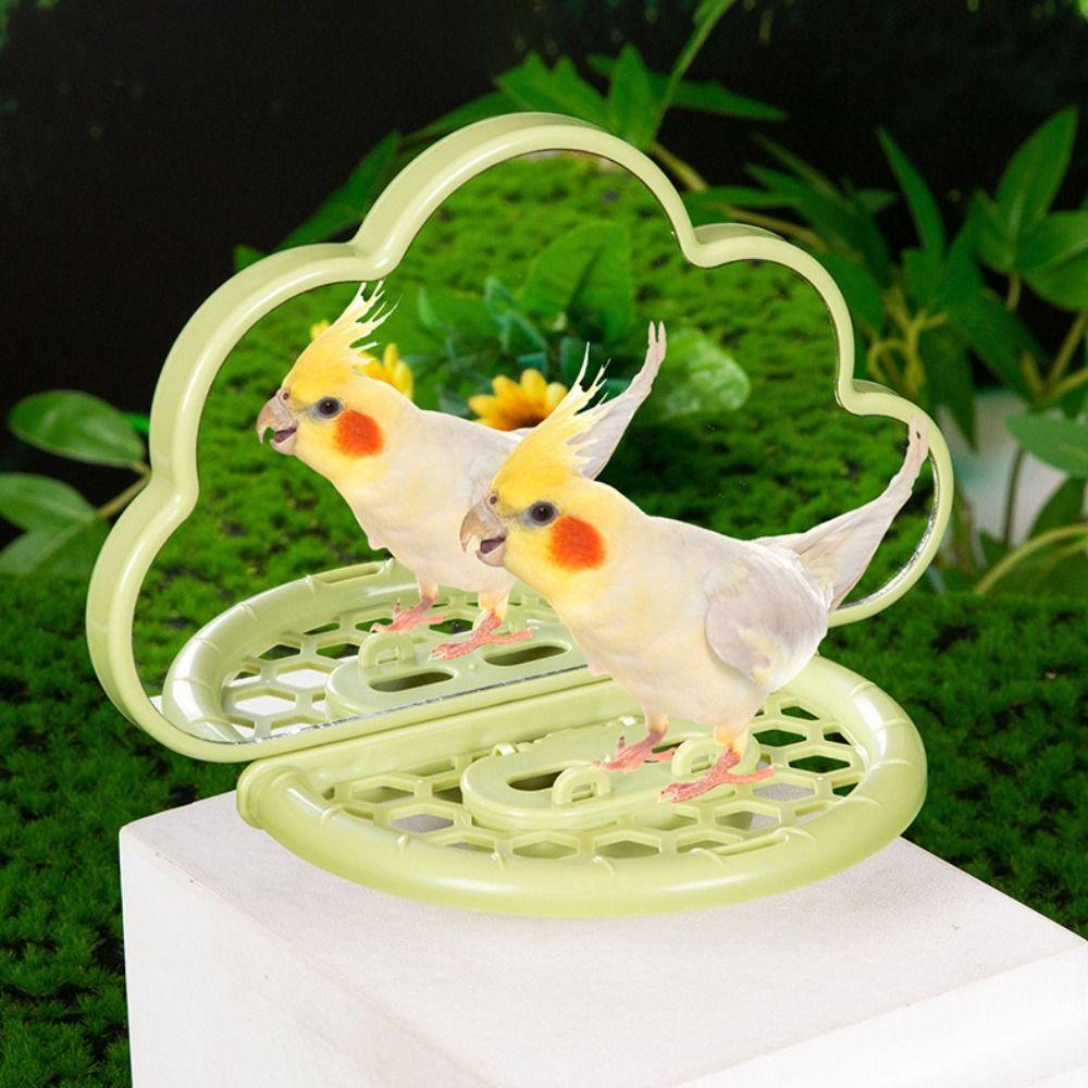 Save Space Bird Perch Stand Sturdy Parrots Feeders Bird Mirror With Perch Boredom Relief зелений
Save Space Bird Perch Stand Sturdy Parrots Feeders Bird Mirror With Perch Boredom Relief зелений