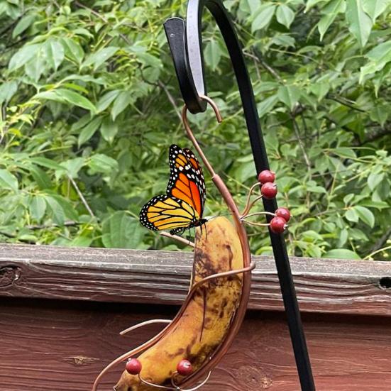 Banana Hanger for Butterflies Outdoor Banana Hammock Butterfly Feeder Metal Banana Holder for Attracting Butterflies 1pc
Banana Hanger for Butterflies Outdoor Banana Hammock Butterfly Feeder Metal Banana Holder for Attracting Butterflies 1pc