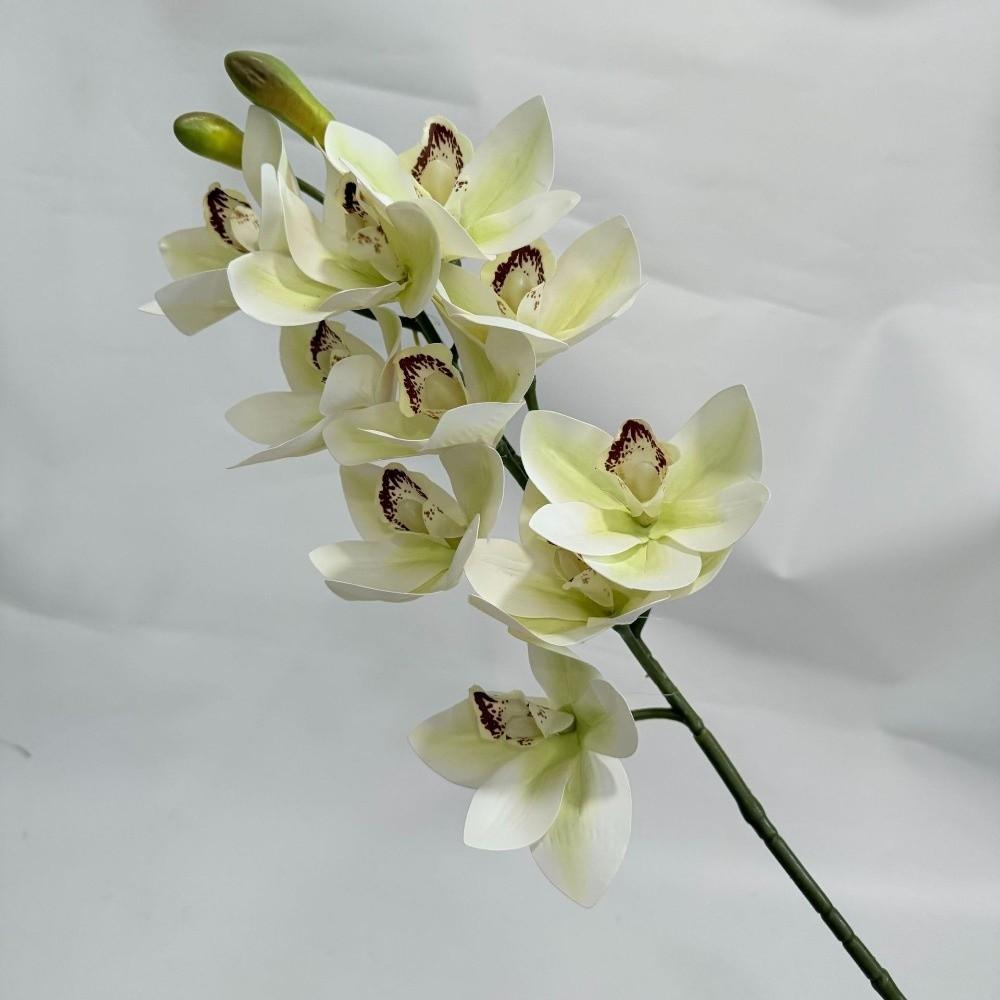 10 Head Artificial Flowers Handmade Floral Magnolia Fake Flowers Craft Festival Party Supplies False Flowers Home Decorations
10 Head Artificial Flowers Handmade Floral Magnolia Fake Flowers Craft Festival Party Supplies False Flowers Home Decorations