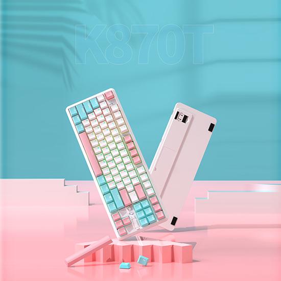 Ajazz K870TPro 87 Keys hot-swap Wireless keyboard 2.4G BT three-mode connection RGB backlight Brown Switch білий
Ajazz K870TPro 87 Keys hot-swap Wireless keyboard 2.4G BT three-mode connection RGB backlight Brown Switch білий