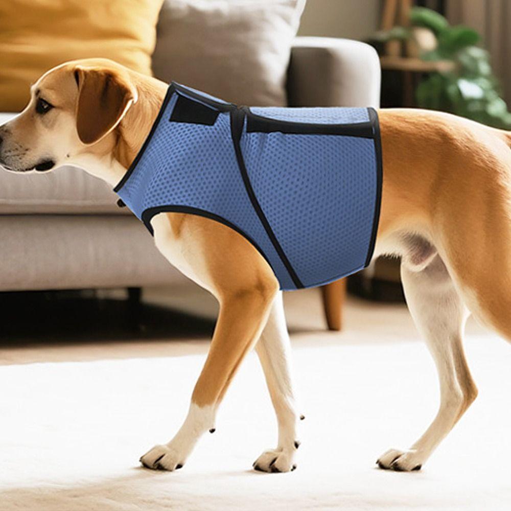 Breathable Pet Calming Shirt Adjustable Dog Chest Back Clothing Dog Anxiety Vest Travel S синій
Breathable Pet Calming Shirt Adjustable Dog Chest Back Clothing Dog Anxiety Vest Travel S синій