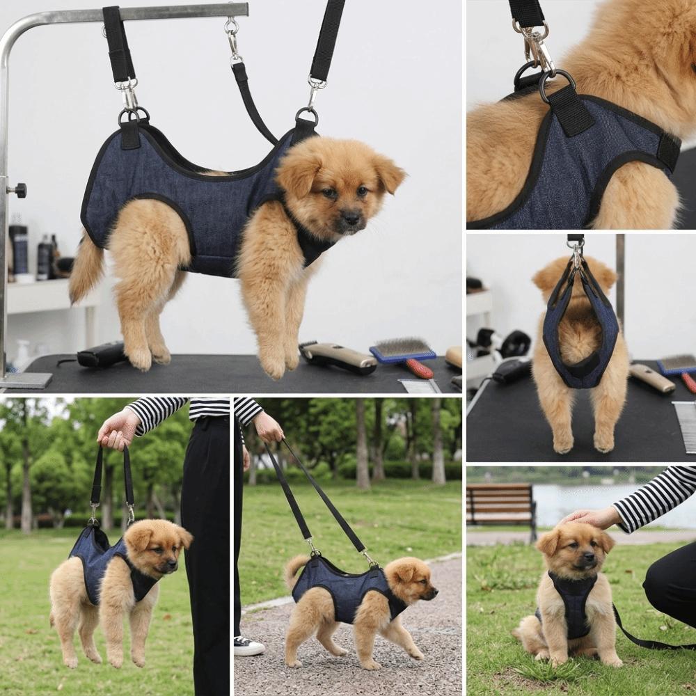 Adjustable Buckle Pet Carrier Bag Breathable Fabric Dog Walking Leash Outdoor Travel S
Adjustable Buckle Pet Carrier Bag Breathable Fabric Dog Walking Leash Outdoor Travel S