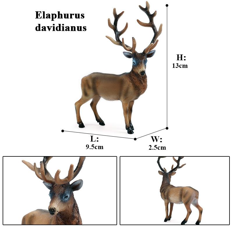 Oenux Лесные Олени Животные Симуляция Дикий Белохвостый Лось Фигурки Лось Фигурки Модель Украшение Игрушка Детский Рождественский Подарок
Oenux Лесные Олени Животные Симуляция Дикий Белохвостый Лось Фигурки Лось Фигурки Модель Украшение Игрушка Детский Рождественский Подарок