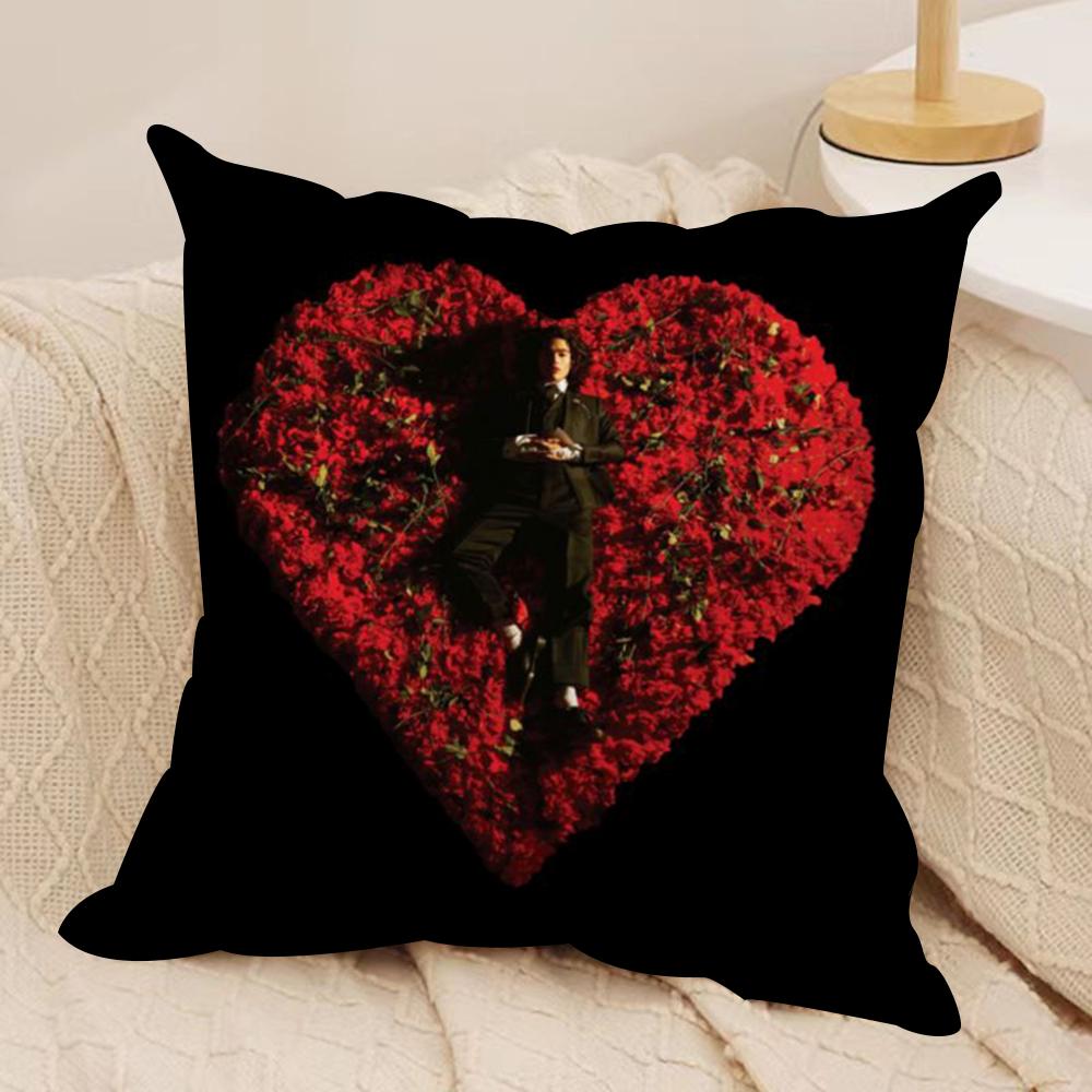 Conan Gray Holidays Cushion Cover Silky Short Plush DoubleSided Printed Pillow Case for Sofa All Seasons Home Decor Gift 30x30cm
Conan Gray Holidays Cushion Cover Silky Short Plush DoubleSided Printed Pillow Case for Sofa All Seasons Home Decor Gift 30x30cm