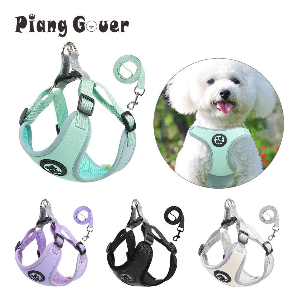 Шлейка из искусственной кожи для маленьких собак, жилет для кошек, нагрудный ремень с поводком, светоотражающая шлейка для прогулок, аксессуары для домашних животных
Шлейка из искусственной кожи для маленьких собак, жилет для кошек, нагрудный ремень с поводком, светоотражающая шлейка для прогулок, аксессуары для домашних животных