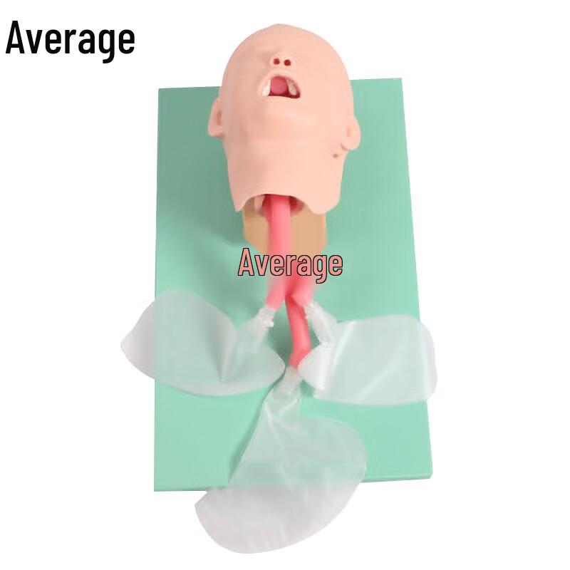 Advanced Pediatric Tracheal Intubation Training Model
Advanced Pediatric Tracheal Intubation Training Model