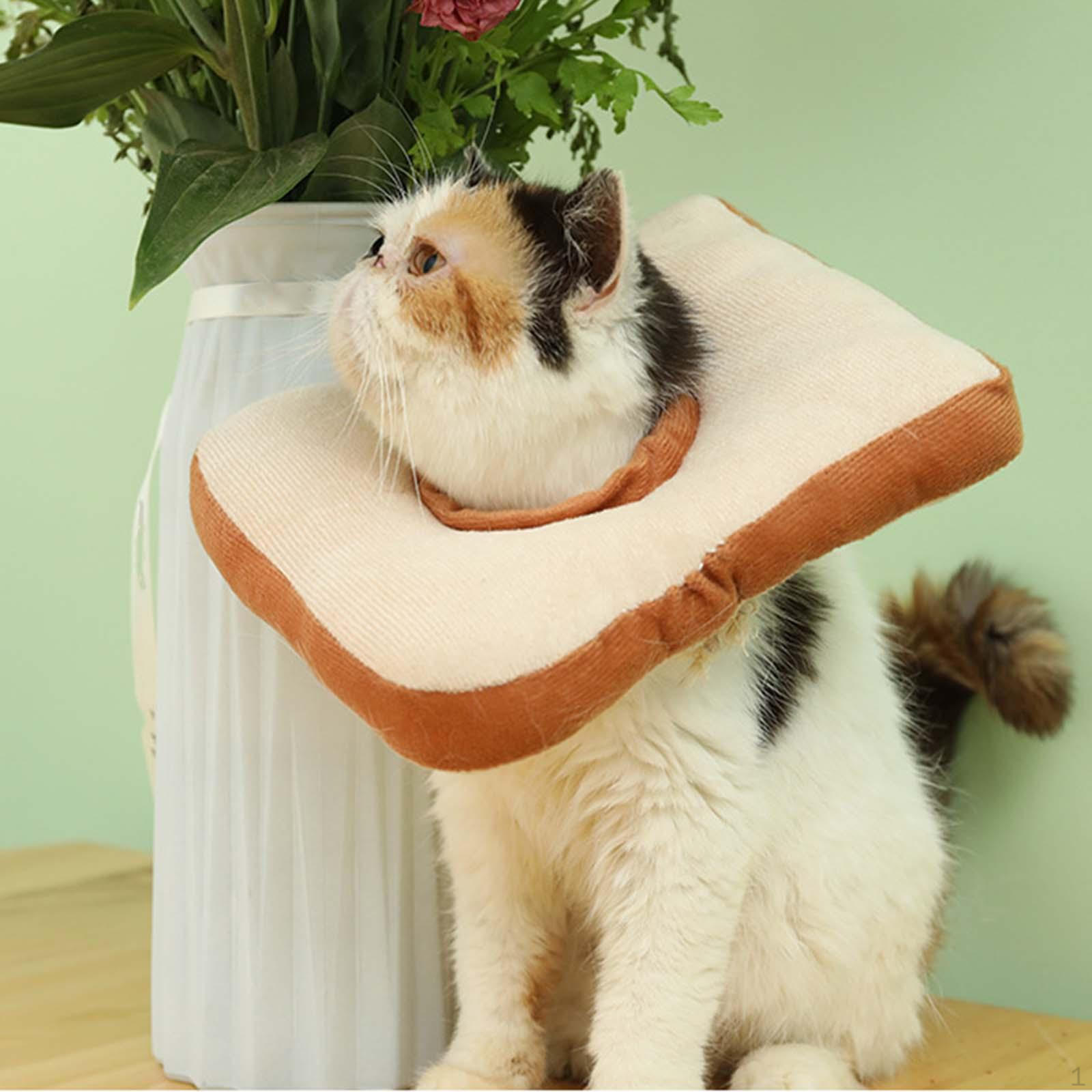 Adjustable Cat Collars Prevent From Licking Soft M
Adjustable Cat Collars Prevent From Licking Soft M