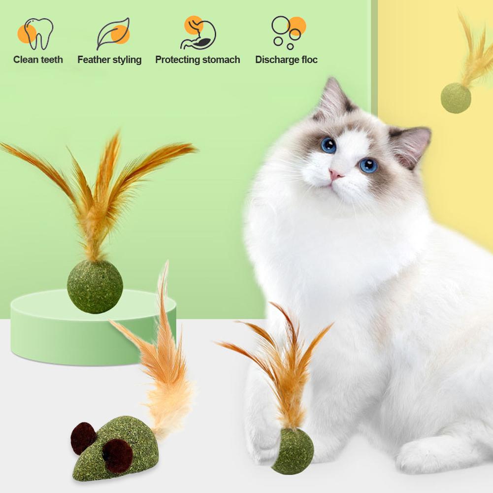 Кошачий мячик с кошачьей мятой, пером и кошачьей мятой, самоочищающийся мячик для чистки зубов, игрушка-мячик с пером, товары для питомцев, инструмент для чистки питомцев Feather Ball
Кошачий мячик с кошачьей мятой, пером и кошачьей мятой, самоочищающийся мячик для чистки зубов, игрушка-мячик с пером, товары для питомцев, инструмент для чистки питомцев Feather Ball