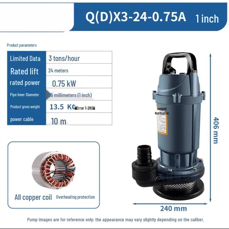 Jun Ding Ying Single Phase Submersible Pump
Jun Ding Ying Single Phase Submersible Pump