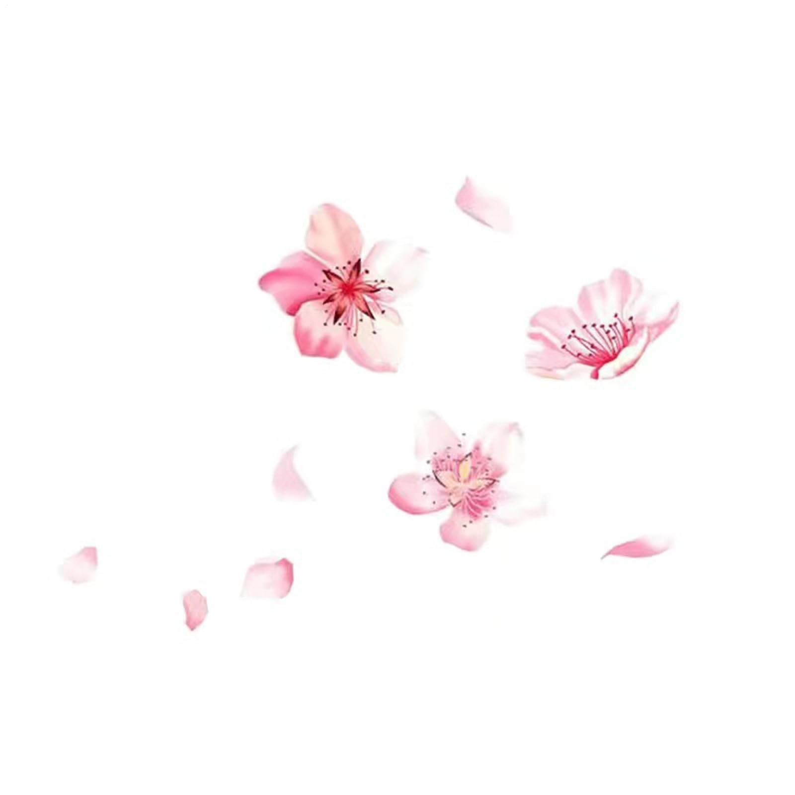 Lyanny Car Stickers and Decals, Cherry Blossom Decals for Cars - Vista Print Cherry Blossom Reflective Stickers for Cars - Decorative Waterproof
Lyanny Car Stickers and Decals, Cherry Blossom Decals for Cars - Vista Print Cherry Blossom Reflective Stickers for Cars - Decorative Waterproof