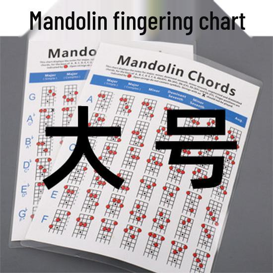 Mandolin Fingering & Chord Practice Diagram
Mandolin Fingering & Chord Practice Diagram