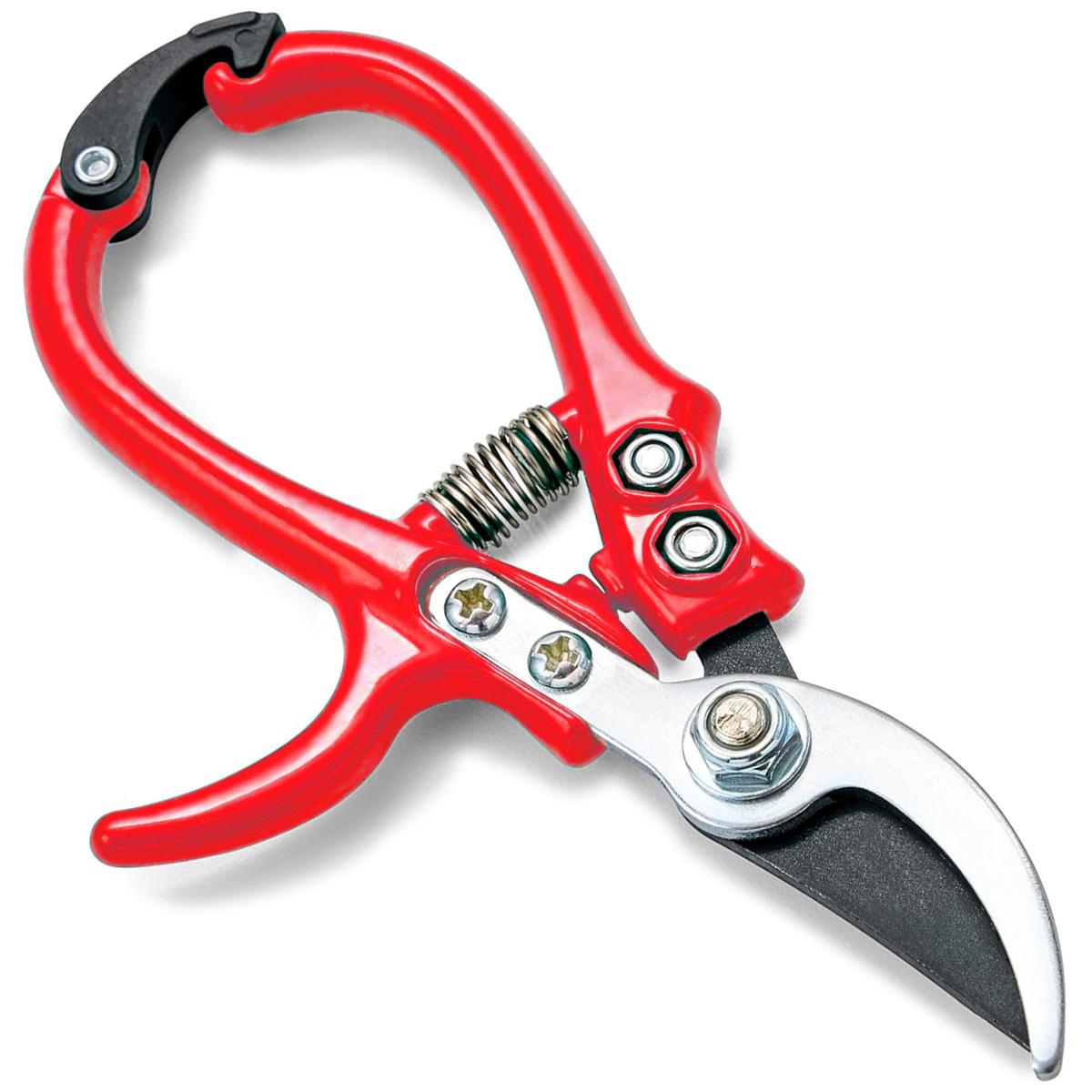 1pc, Floral Scissors Flower Branch Scissors Ribbon Cutting Paper Cutting Flower Shop Flower Arrangement Gardening Pruning Tools
1pc, Floral Scissors Flower Branch Scissors Ribbon Cutting Paper Cutting Flower Shop Flower Arrangement Gardening Pruning Tools