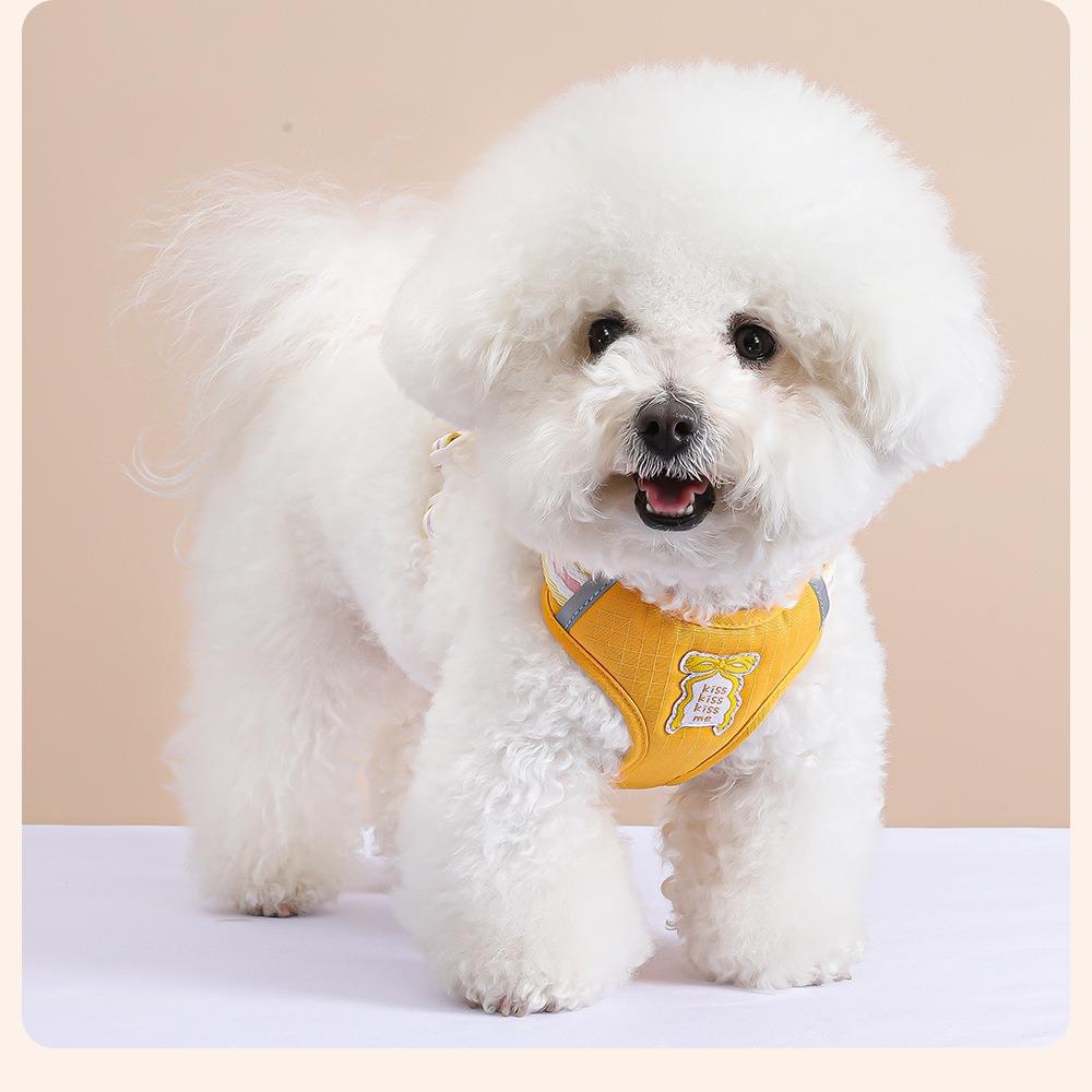 Dog leash, vest, pet chest strap, dog leash, kitten Shiba Inu Bichon, teddy dog chain. S (3-3kg)
Dog leash, vest, pet chest strap, dog leash, kitten Shiba Inu Bichon, teddy dog chain. S (3-3kg)