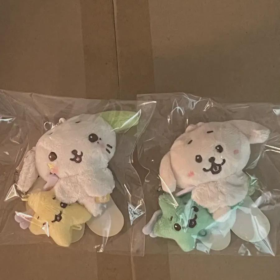 Nct Wish - Minidol +dantliver
Nct Wish - Minidol +dantliver