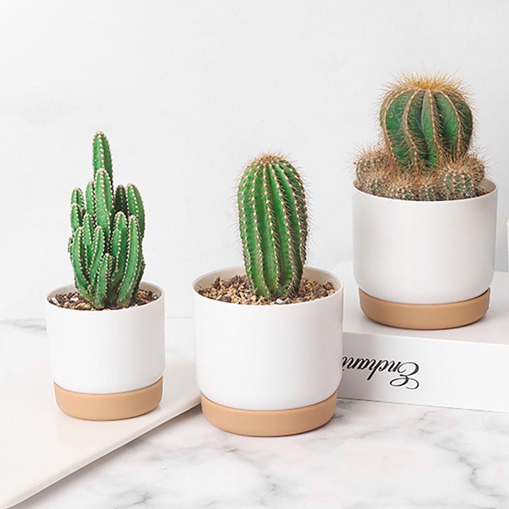 Table Decor Double-layer INS Style Succulent Planter Pot Garden Supplies Flower Planter Flowerpot S
Table Decor Double-layer INS Style Succulent Planter Pot Garden Supplies Flower Planter Flowerpot S
