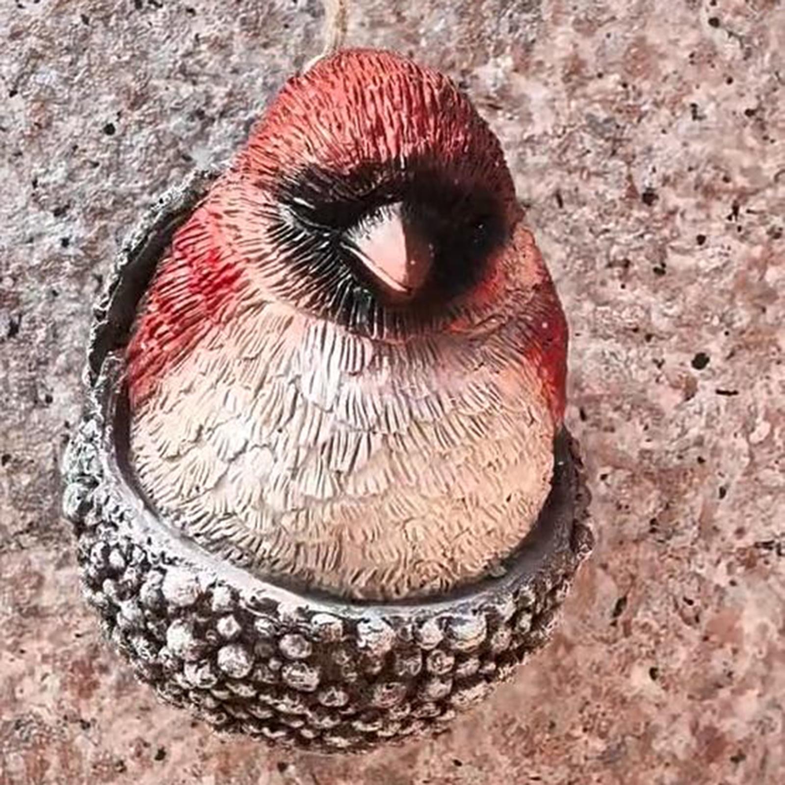 3D Pine Cone Bird Hanging Decoration Multi-Purpose Xmas Cardinal Bird Decorations Resin for Celebrations/Winter Birthdays Gift China Mainland
3D Pine Cone Bird Hanging Decoration Multi-Purpose Xmas Cardinal Bird Decorations Resin for Celebrations/Winter Birthdays Gift China Mainland