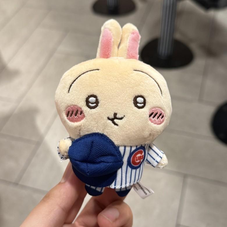 Chiikawa Hachiware Usagi Cartoon Plush Keyring Soft Toy For Collectors And Gifts Usachi No Hat
Chiikawa Hachiware Usagi Cartoon Plush Keyring Soft Toy For Collectors And Gifts Usachi No Hat