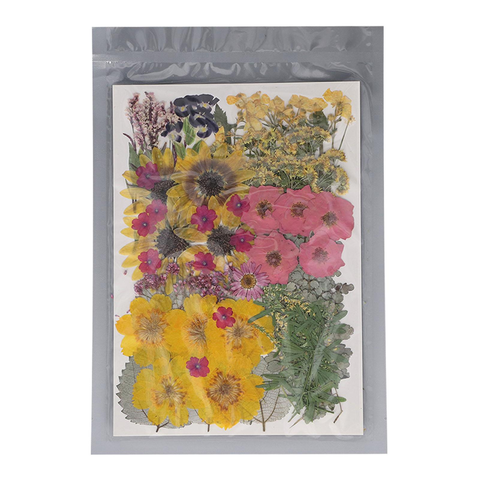 100 Pcs Dried Pressed Flower 13 Types Natural Dry Flowers with 2 Stickers for Scrapbooking Candle
100 Pcs Dried Pressed Flower 13 Types Natural Dry Flowers with 2 Stickers for Scrapbooking Candle