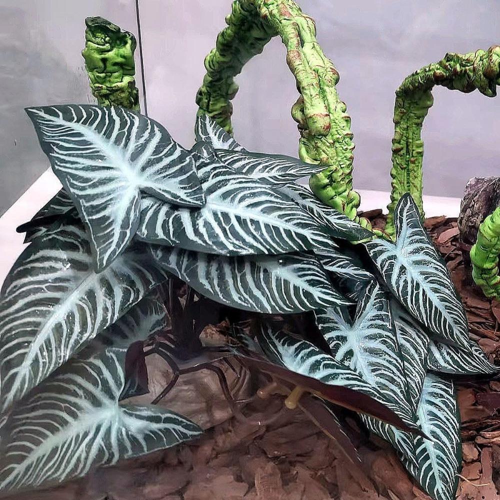 25CM Tall Fish Tank Plants Green Reptile Climbing Plant Leaves Ornaments Habitat Decor Fish Tank зелений
25CM Tall Fish Tank Plants Green Reptile Climbing Plant Leaves Ornaments Habitat Decor Fish Tank зелений