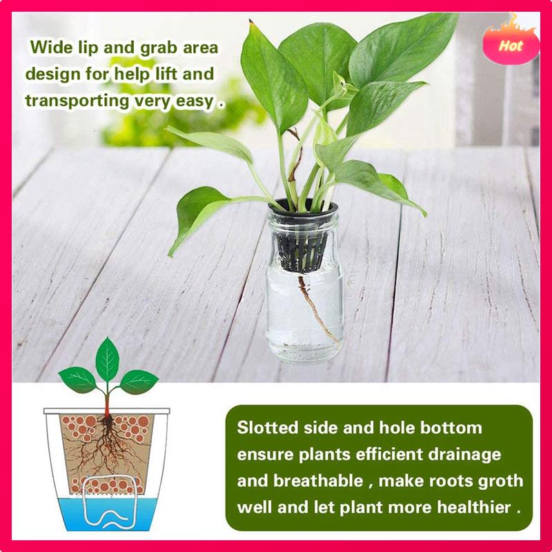 300 Pack 1.96 Inch Net Cups Slotted Mesh Wide Lip Filter Plant Net Pot Bucket Basket For Hydroponics Aquaponics Orchids
300 Pack 1.96 Inch Net Cups Slotted Mesh Wide Lip Filter Plant Net Pot Bucket Basket For Hydroponics Aquaponics Orchids