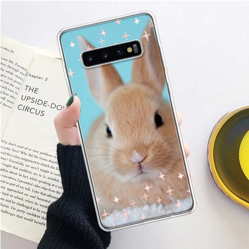 Милый Белый Заяц Чехол для Телефона Для Samsung Galaxy A71 A51 A41 A31 A21S A11 A70 A50 A40 A30 A20E A10S A20S A6 A7 A8 A9 + Мягкий Samsung A40
Милый Белый Заяц Чехол для Телефона Для Samsung Galaxy A71 A51 A41 A31 A21S A11 A70 A50 A40 A30 A20E A10S A20S A6 A7 A8 A9 + Мягкий Samsung A40