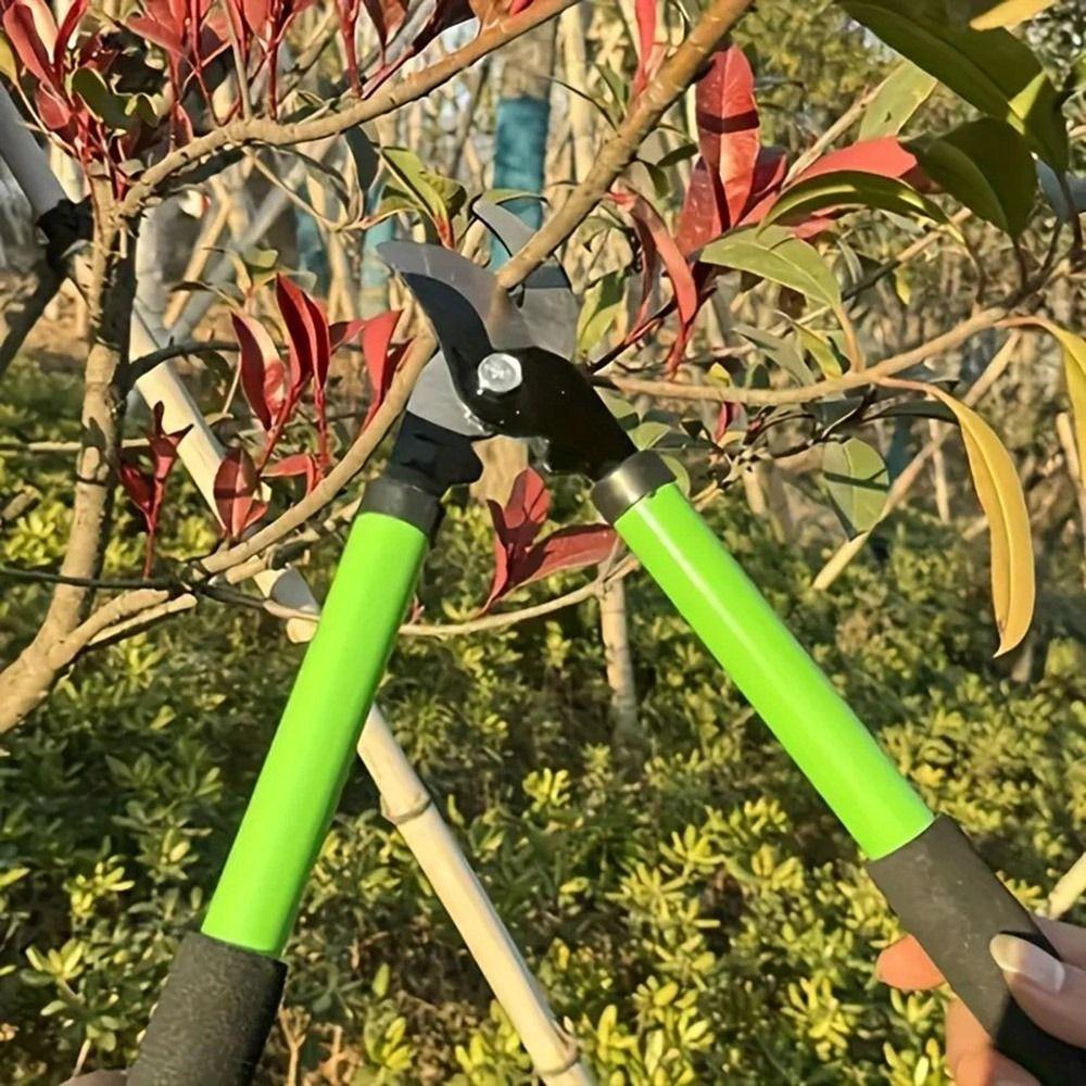 Long Handle Portable Pruner Labor-saving Coarse Branch Cutter Pruning Shear Home Pruning Equipment 37CM-Green
Long Handle Portable Pruner Labor-saving Coarse Branch Cutter Pruning Shear Home Pruning Equipment 37CM-Green