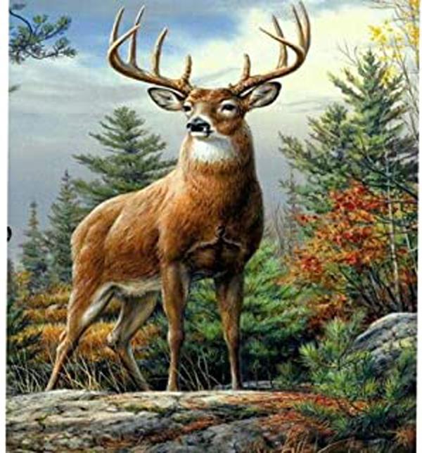 Алмазная картина Пейзаж Алмазная вышивка Набор Крестиком Набор Алмазная картина Полный набор сверл Горный хрусталь 30*40cm
Алмазная картина Пейзаж Алмазная вышивка Набор Крестиком Набор Алмазная картина Полный набор сверл Горный хрусталь 30*40cm